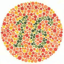 Ishihara test plate-16. Normal person see it as 16 while person with Red-green deficiency: most people don’t see anything or see something wrong