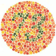 Ishihara test plate-17. Normal person see it as 73 while person with Red-green deficiency: most people don’t see anything or see something wrong