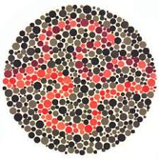 Ishihara test plate-27. Normal person will see it as purple and red spots while person with Protanopia or protanomaly will see only the purple line and patient with Deuteranopia or deuteranomaly will only the red line