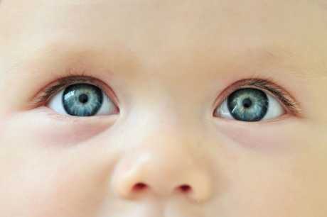 Newborn Eyesight​